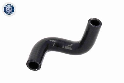 LADELUFTSCHLAUCH VAICO V402319 6