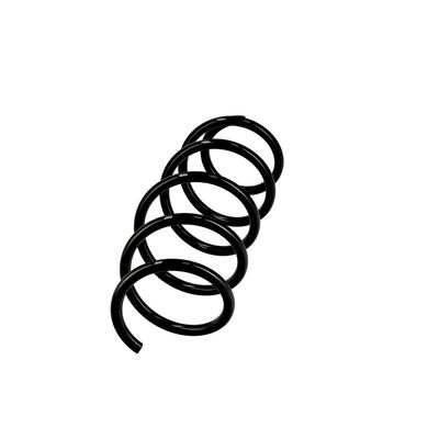 ARC SPIRAL EIBACH R10111 2
