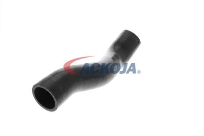 FURTUN EAR SUPRAALIMENTARE ACKOJA A389605 51