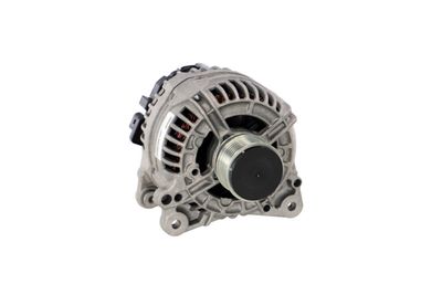 GENERATOR / ALTERNATOR REMANTE 011003000549R 53