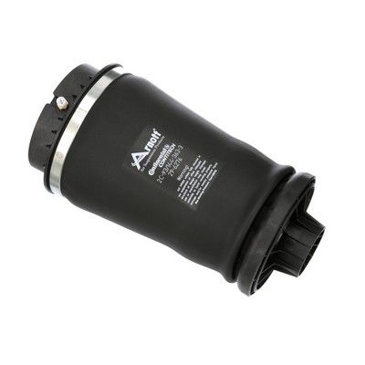 ARC PNEUMATIC DIRECTIE Arnott A2596 67