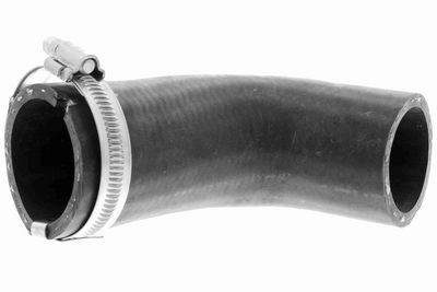 FURTUN EAR SUPRAALIMENTARE