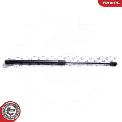 Dujinė spyruoklė, bagažinė