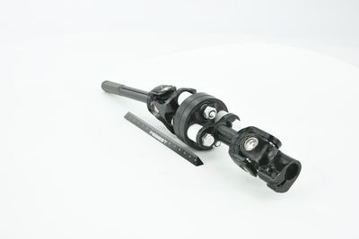 ARBORE DIRECTIE FEBEST ASSZGVSQ 10