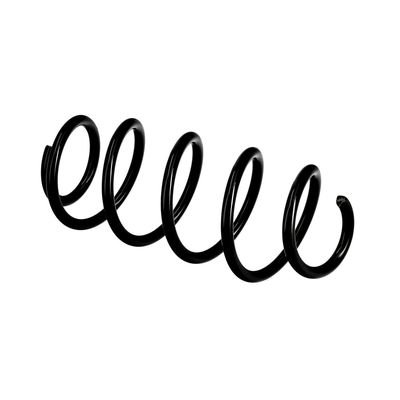 ARC SPIRAL EIBACH R10371 21