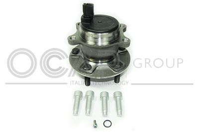 SET RULMENT ROATA OCAP 6120211