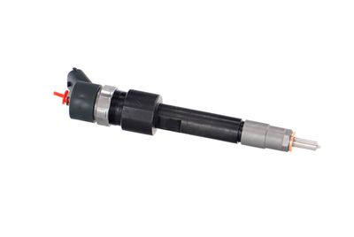 INJECTOR REMANTE 002003001695R 43