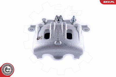 Brake Caliper 55SKV521