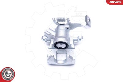 Brake Caliper 44SKV533