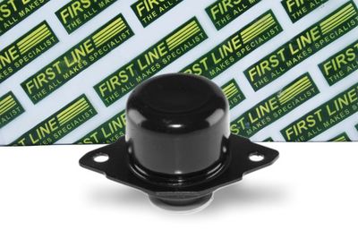 окачване, двигател FIRST LINE FEM3105