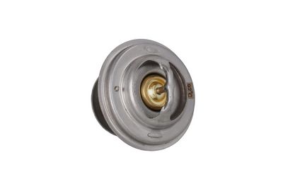 TERMOSTAT LICHID RACIRE