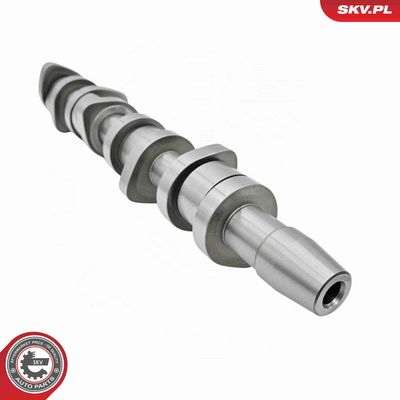 SET AX CU CAME ESEN SKV 80SKV303 3