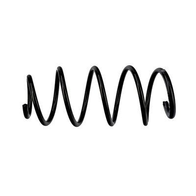ARC SPIRAL EIBACH R10097 19