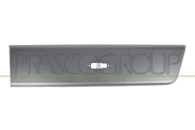 ELEMENTE DECORATIVE/PROTECTIE PORTIERA PRASCO FT9321464