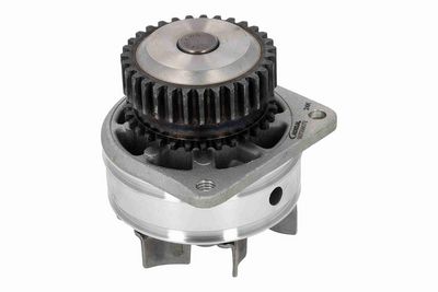 POMPă DE APă RăCIRE MOTOR ACKOJA A3850016 6