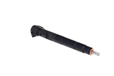 INJECTOR REMANTE 002003001143R 48
