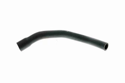 FURTUN RADIATOR VAICO V201649 1