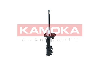 Shock Absorber 2000023