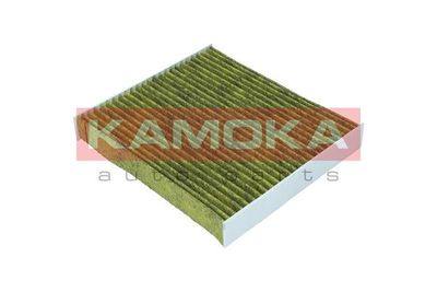 Filter, cabin air 6080072