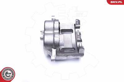 Brake Caliper 44SKV911