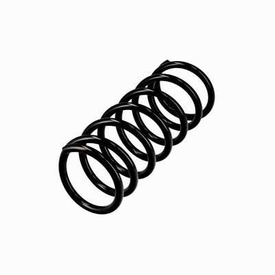 ARC SPIRAL EIBACH R10118 3