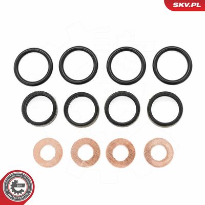 Dichtungssatz, Einspritzdüse