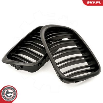 GRILA RADIATOR ESEN SKV 66SKV162 2