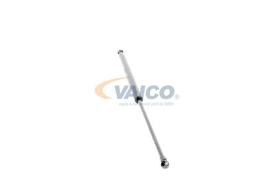 GASFEDER KOFFER-/LADERAUM VAICO V302071 24