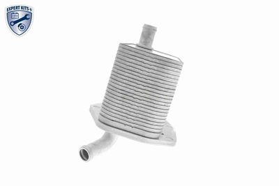 ÖLKüHLER MOTORöL VEMO V48600022 8