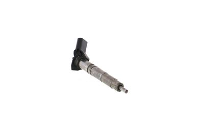INJECTOR REMANTE 002003001370R 55