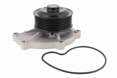 POMPă DE APă RăCIRE MOTOR