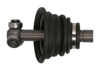 Drivaxel PASCAL G2R077PC för RENAULT