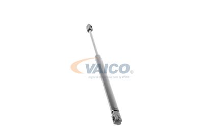 GASFEDER KOFFER-/LADERAUM VAICO V240499 48