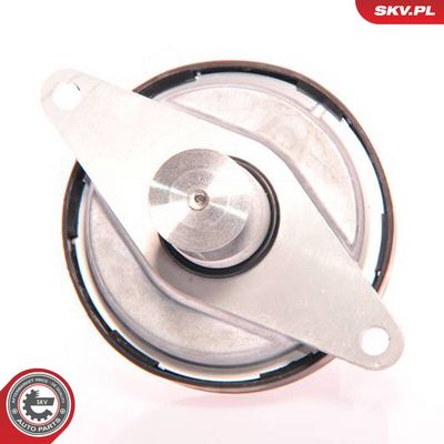 AGR - Ventil ESEN SKV 14SKV023