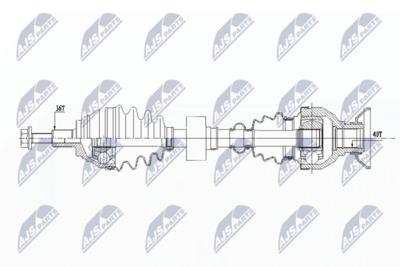 PLANETARA NTY NPWVW157