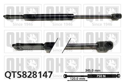 газов амортисьор, капак на двигателя QUINTON HAZELL QTS828147