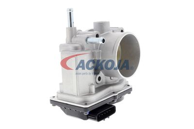 CARCASA CLAPETA ACKOJA A70810010 53