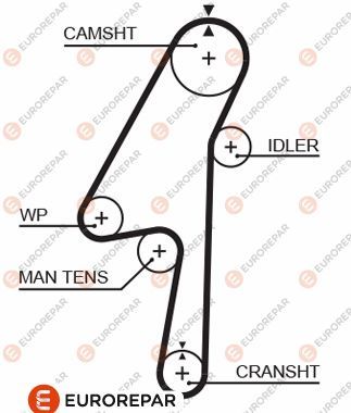 1633143480 EUROREPAR Зубчатый ремень