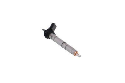 INJECTOR REMANTE 002003001039R 55