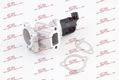 Egr valve