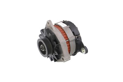 GENERATOR / ALTERNATOR REMANTE 011003000080R 11