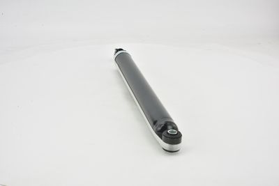 AMORTIZOR FEBEST 21650805R 38