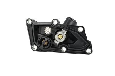 TERMOSTAT LICHID RACIRE NRF 725436 38