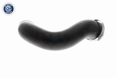 FURTUN EAR SUPRAALIMENTARE VAICO V104816 5