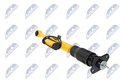 AMORTIZOR NTY ACH124 31