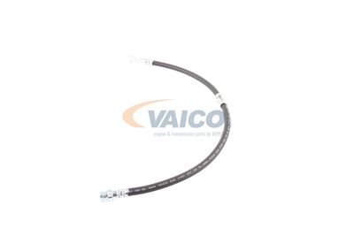 FURTUN FRANA VAICO V103077 24