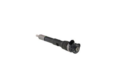 INJECTOR REMANTE 002003001494R 23