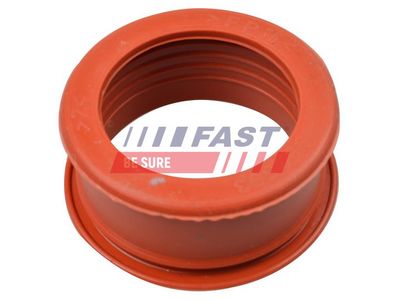Hadička plnicího vzduchu FAST FT61773