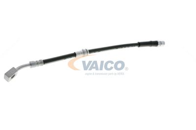 FURTUN FRANA VAICO V404110 60