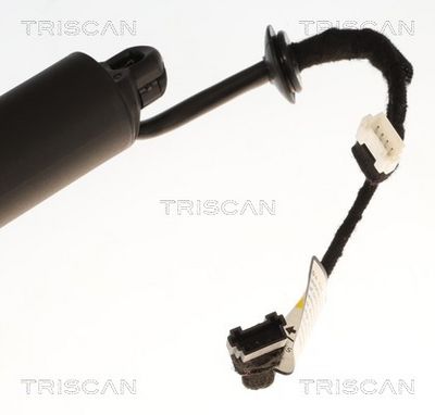 AMORTIZOR PORTBAGAJ TRISCAN 871011371 3